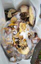 2063d8c3-e140-487c-b16b-d3782f686b55