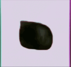 6866d0b7-3199-463b-b988-352d22c37f15