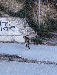 5995958d-1f4d-4ec7-aa29-321dde19e434