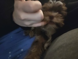 9de94cf1-beb5-4c5c-8203-eef8fbbcb22f