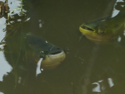 343e62fd-9726-4d47-94a3-30677c3f7d19