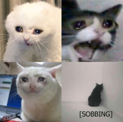 89fe0066-3dc3-4dff-815e-3d6cc5ab471d