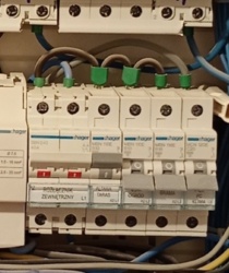 d686bc84-3250-4aa1-bca7-b16a7f406a4e