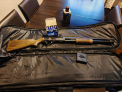 ccf03903-bd90-4ca2-955f-0686b9723013