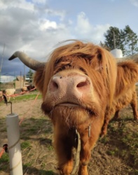 0197a31e-c3f6-4cf5-a943-deac612b11b5