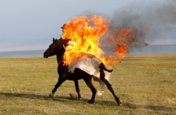 108ca076-e6dd-40a1-9d6d-07d0ddf8d041