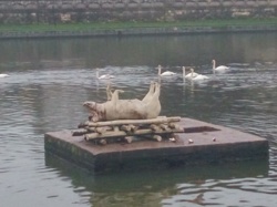 86df5680-9e71-4b8a-a163-cdc5132a02e0