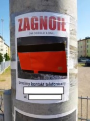 c6e58e4c-f702-4458-9569-2c3019b98ab7