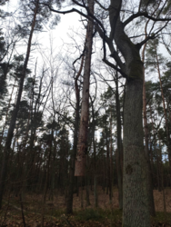 1f430632-d984-41da-982f-0bac13471b23