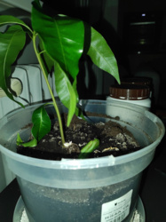 75b11c79-3d95-4760-8fd1-7bd324a03403