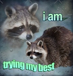 a18f5076-3512-4aec-98be-1bc1b43b1b1b