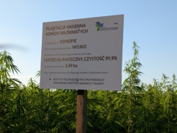 71264609-a7bd-4381-8929-7f904b08fda6