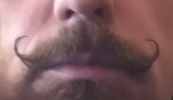 b13dbef7-2e98-475a-9095-9beaa2279349