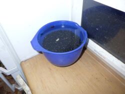 aeebf801-cfa7-40af-a31c-f1fda65d0a94