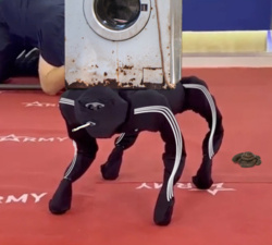 d503a804-5e20-467e-bba0-8d50b11154d5