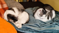 e8944b40-5e56-497f-b686-6bf59f146142