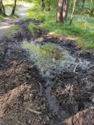 5398586b-d893-4bdc-ab0f-1e3499af72b3