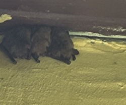 9204dd4e-d5f6-4be3-ab4a-2870d1334400