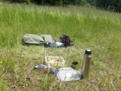 2467ac22-2cf2-4695-8e16-c6a5b1f3853f