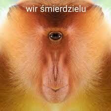 582975e4-8d62-4a96-acab-61c825b7eb22