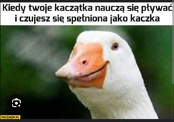 ec051f1b-767d-41e5-873c-87c48dcbf5af