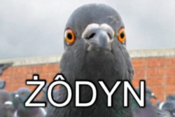 ef170fc9-9c92-4835-9f89-d5e8d33fffde