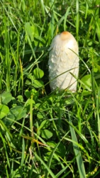 462e613e-8152-4c2b-8d93-e3c613254cbe