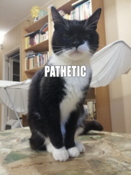 60167332-4efe-493a-aaa2-d681891f7a71