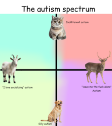 c1ea40a4-2cda-4090-9966-90a00b04dbf0