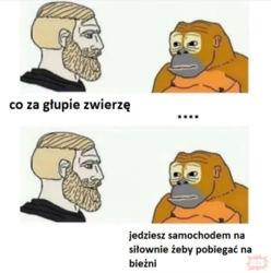 a8fd04f5-83c4-4c0d-9577-f4f7e46a85f3