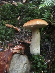 cc66726a-ca09-4b3f-83bd-1154b8752200