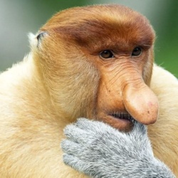 0bcfafbd-51da-473a-aeff-9d564135b180