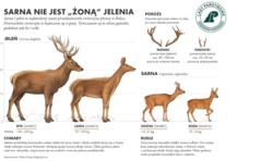 5b94dc89-ea21-424c-b251-e6a1a3ae71fa