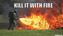 b2650d9c-525f-4743-9cd1-8ef5483a0ddc