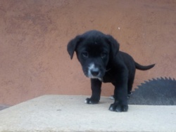 53b7ca85-4bac-42bb-b4a3-6c9949fa0cb1