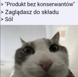 7a9fc2b2-31c8-4bec-b99c-82e35aa1f7d3