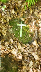 7be44500-0d4f-4b1c-99ac-3c8847ac5fa6