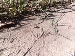 6ab00d06-ea44-4377-9669-1b504623fc18