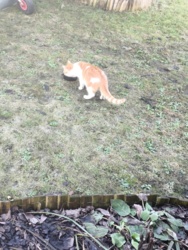 5ec69bba-7ccf-4002-ba16-1cf05b936992