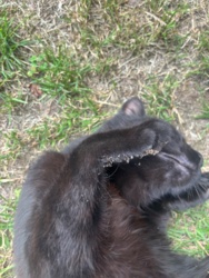 575d79f4-117d-460f-bd85-582a20ee33cd