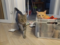 f4d56bc0-953a-4b63-8142-ac6a1b36adf0