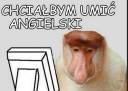 5b25a6fa-d156-4d83-abd5-53e5720aef7e