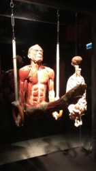 977bd52e-a900-47b1-bfda-564728080390