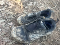 0e521709-9d80-417d-bdc2-95da3936d6ae