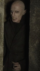 7e883d1e-725e-4128-b555-c5fe1d7b8cc6