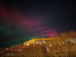 42702be3-6784-4f11-bdd3-d392b9471a8a