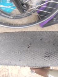 291a5ddf-eb62-4e04-b501-59ae0727cd26