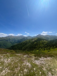 bb3e1132-387f-4d06-b706-341bdae20278