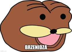 6a38269c-ebc6-4366-851b-2dbc3474242f