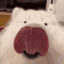 4c807143-93b4-4105-bd89-25877eceec50